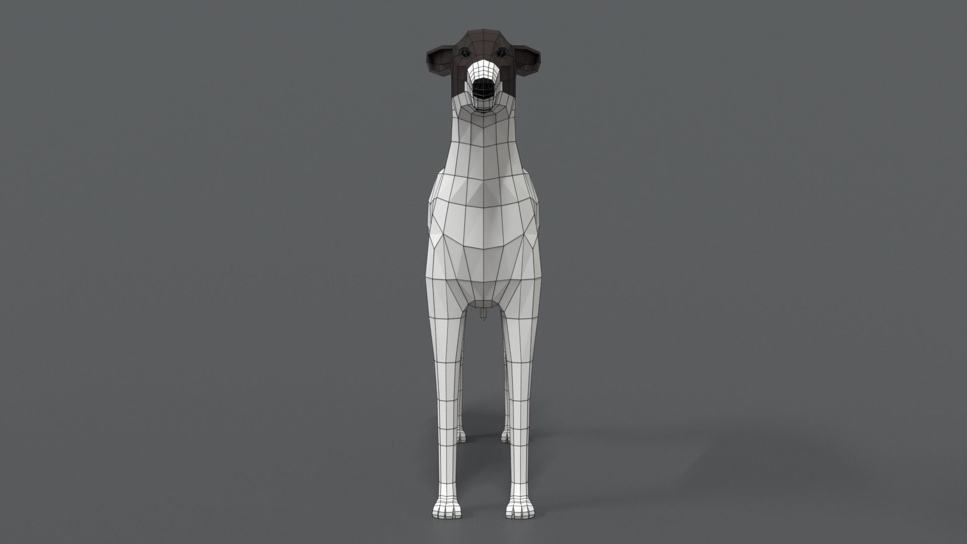 Low Poly Cartoon Greyhound Dog Low-poly 3D model_16