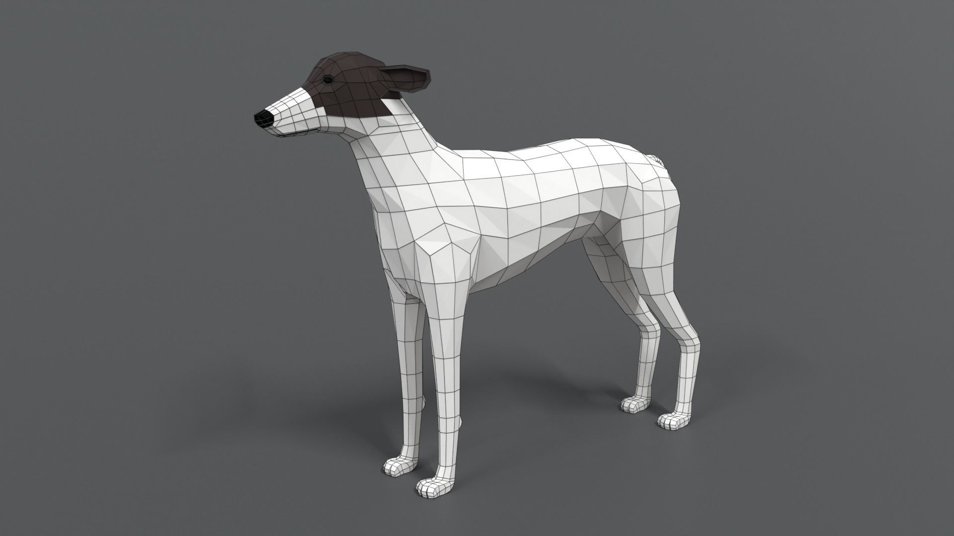 Low Poly Cartoon Greyhound Dog Low-poly 3D model_9