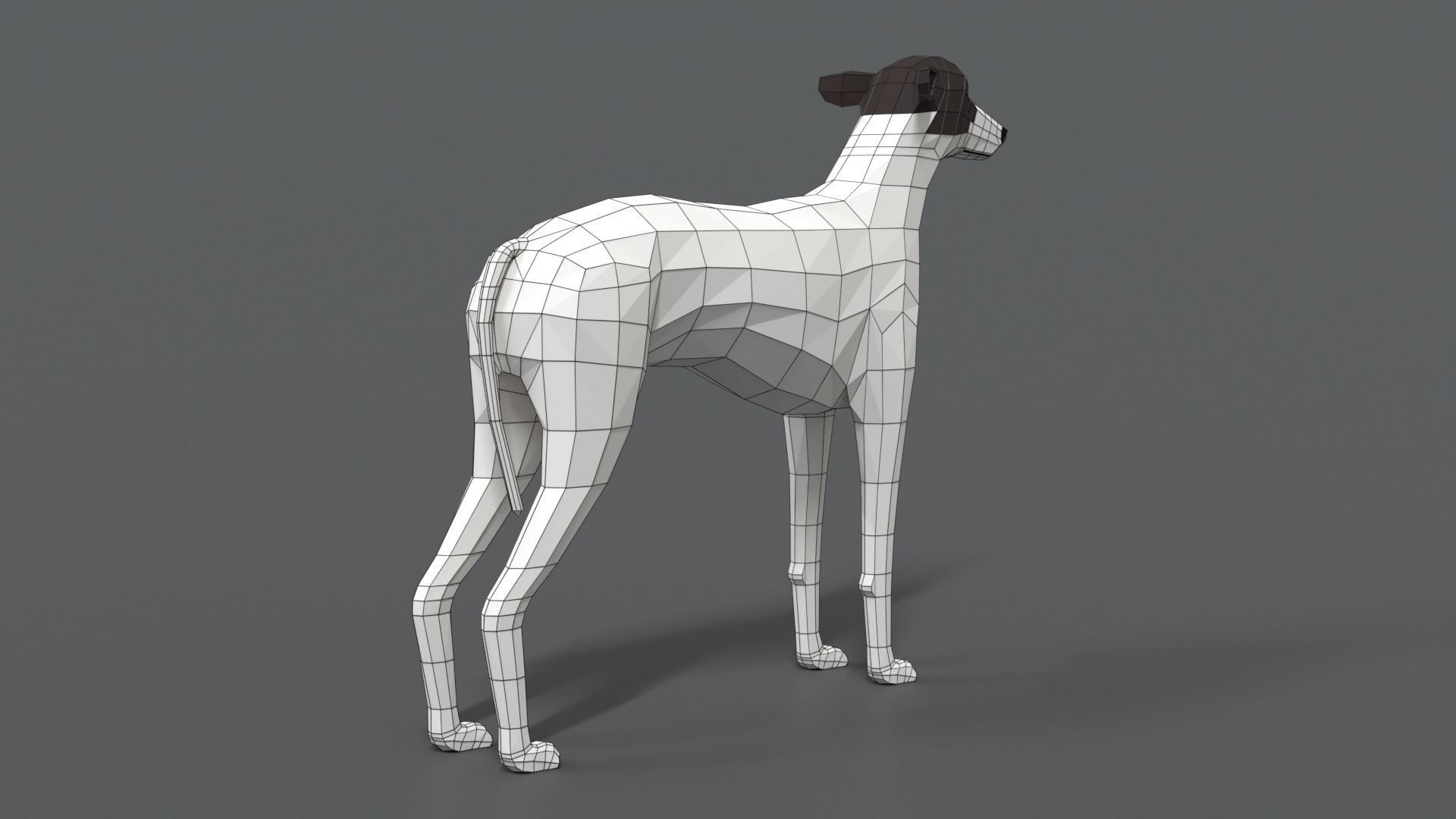 Low Poly Cartoon Greyhound Dog Low-poly 3D model_13