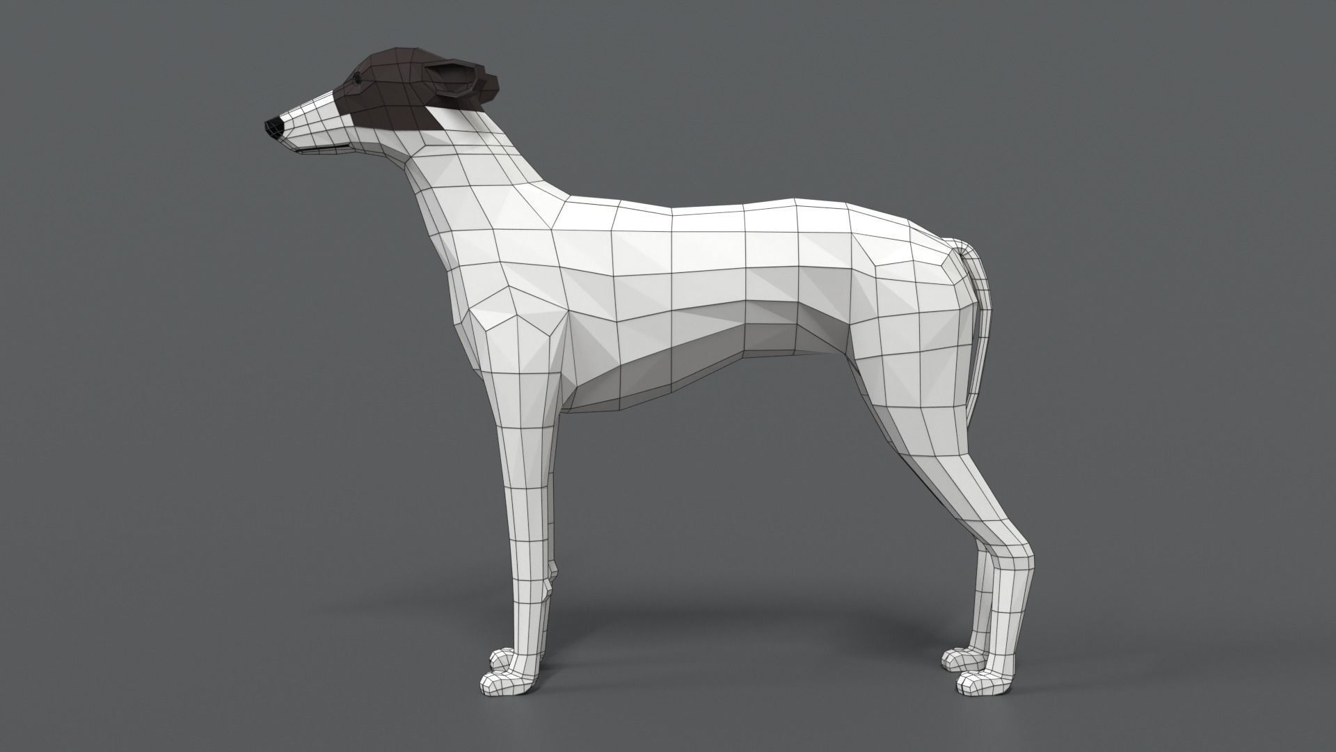 Low Poly Cartoon Greyhound Dog Low-poly 3D model_10