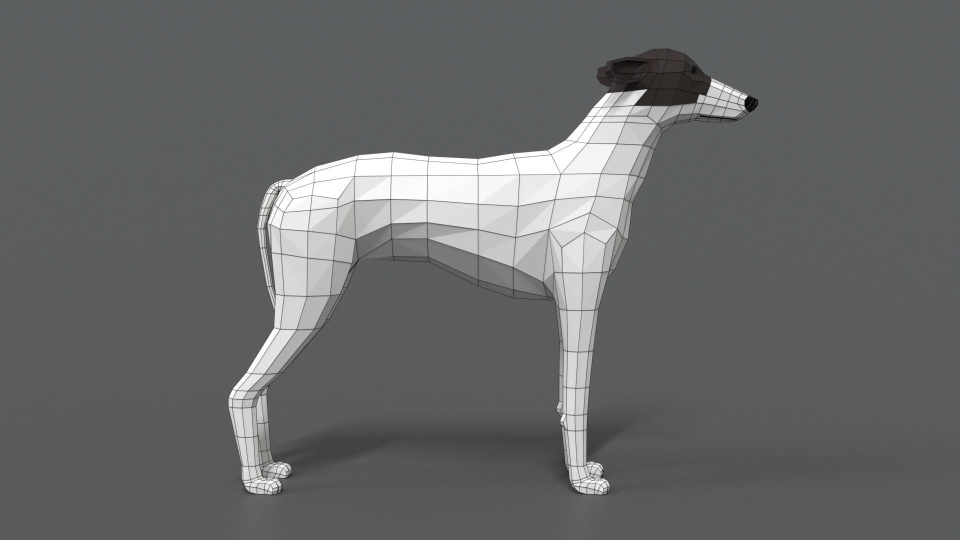 Low Poly Cartoon Greyhound Dog Low-poly 3D model_14