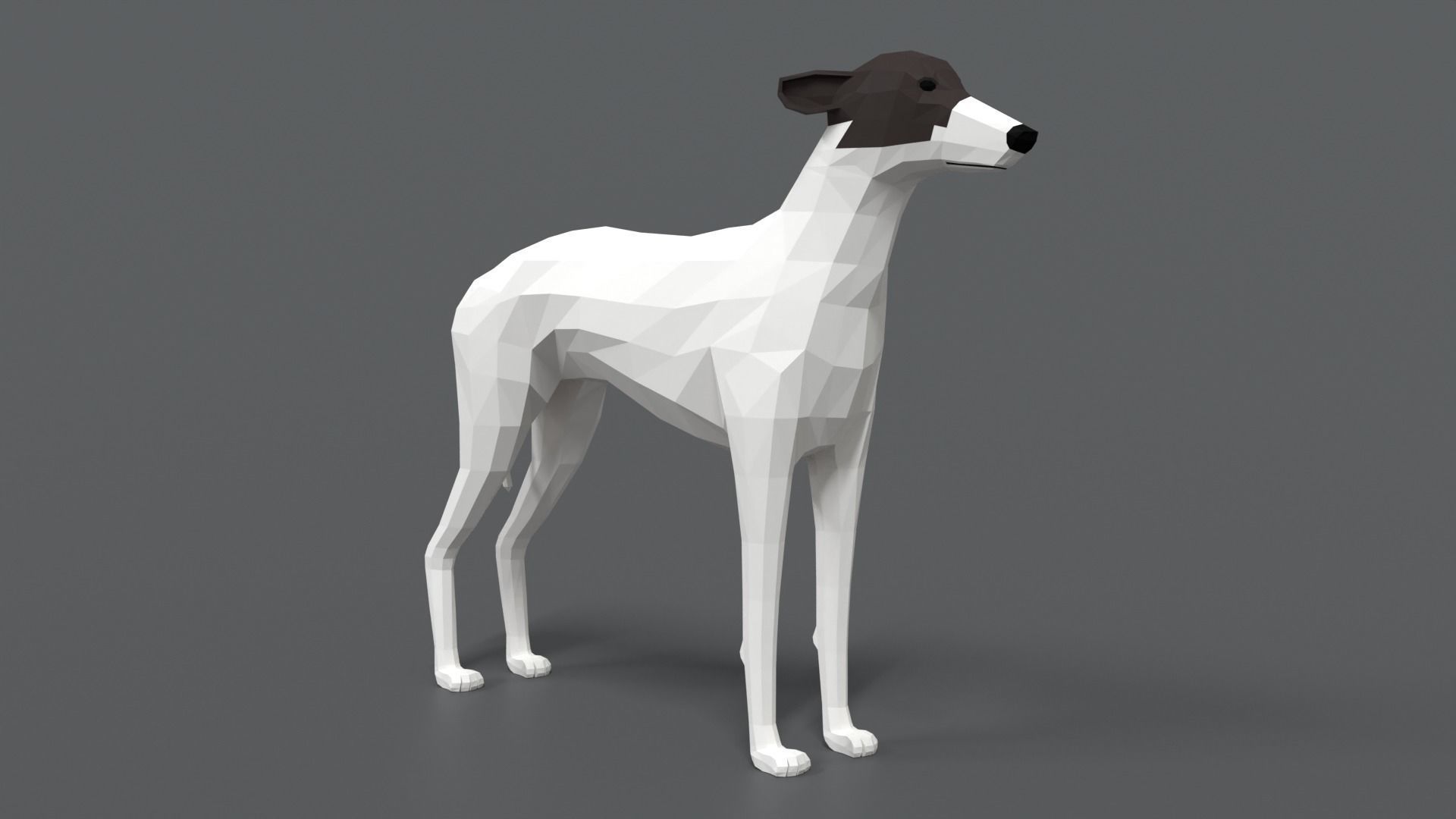 Low Poly Cartoon Greyhound Dog Low-poly 3D model_6