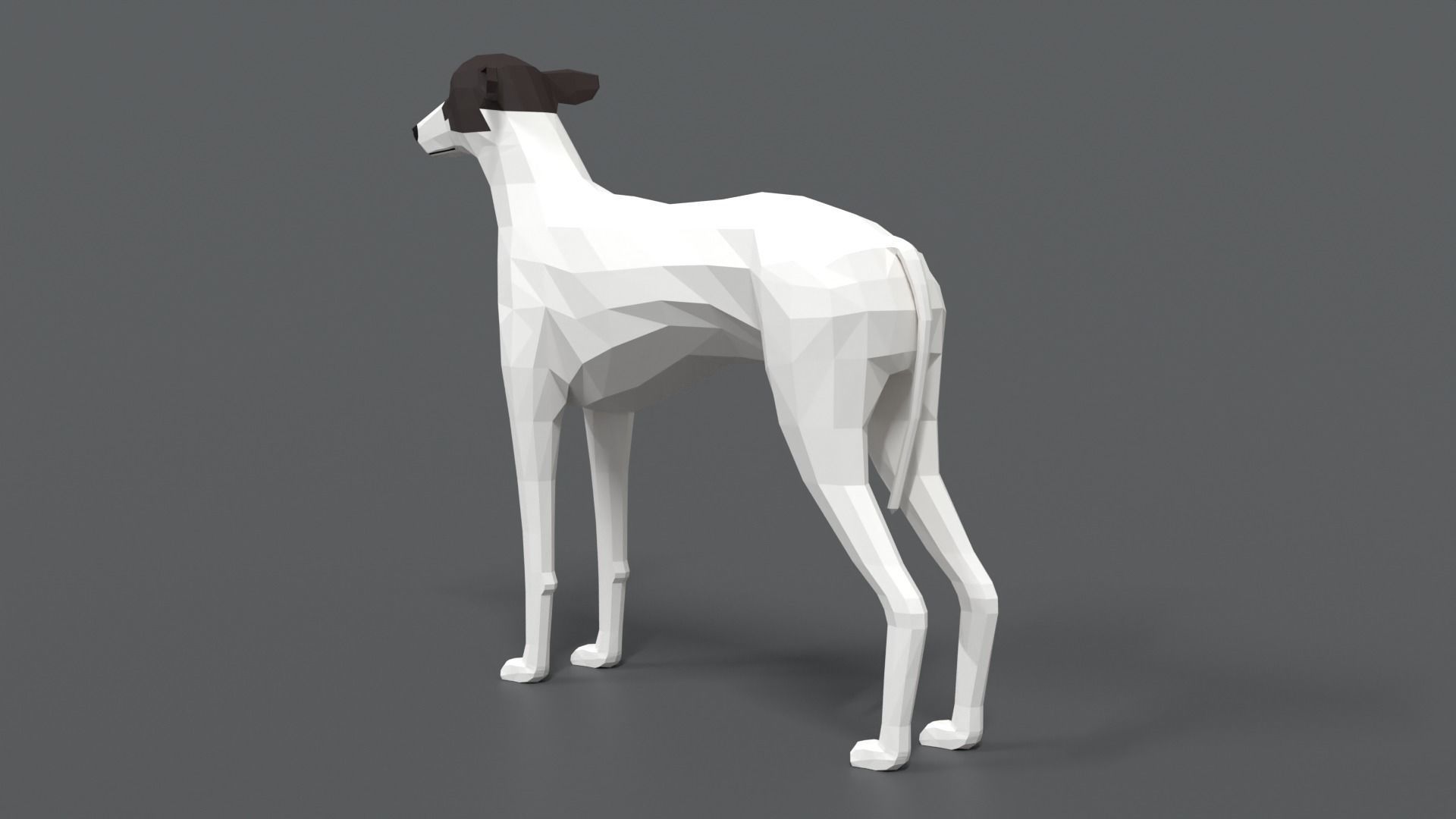 Low Poly Cartoon Greyhound Dog Low-poly 3D model_2