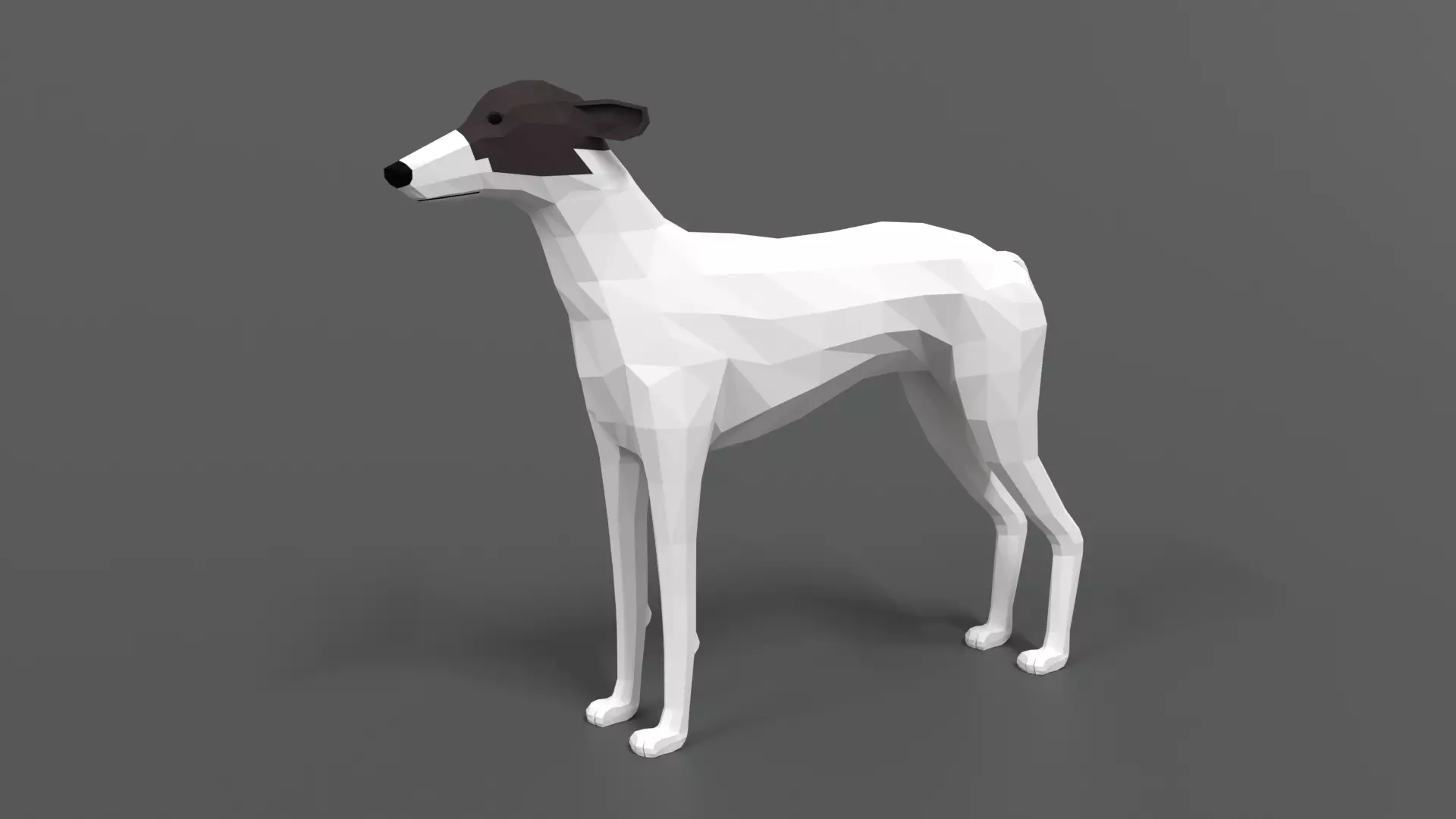 Low Poly Cartoon Greyhound Dog Low-poly 3D model_0