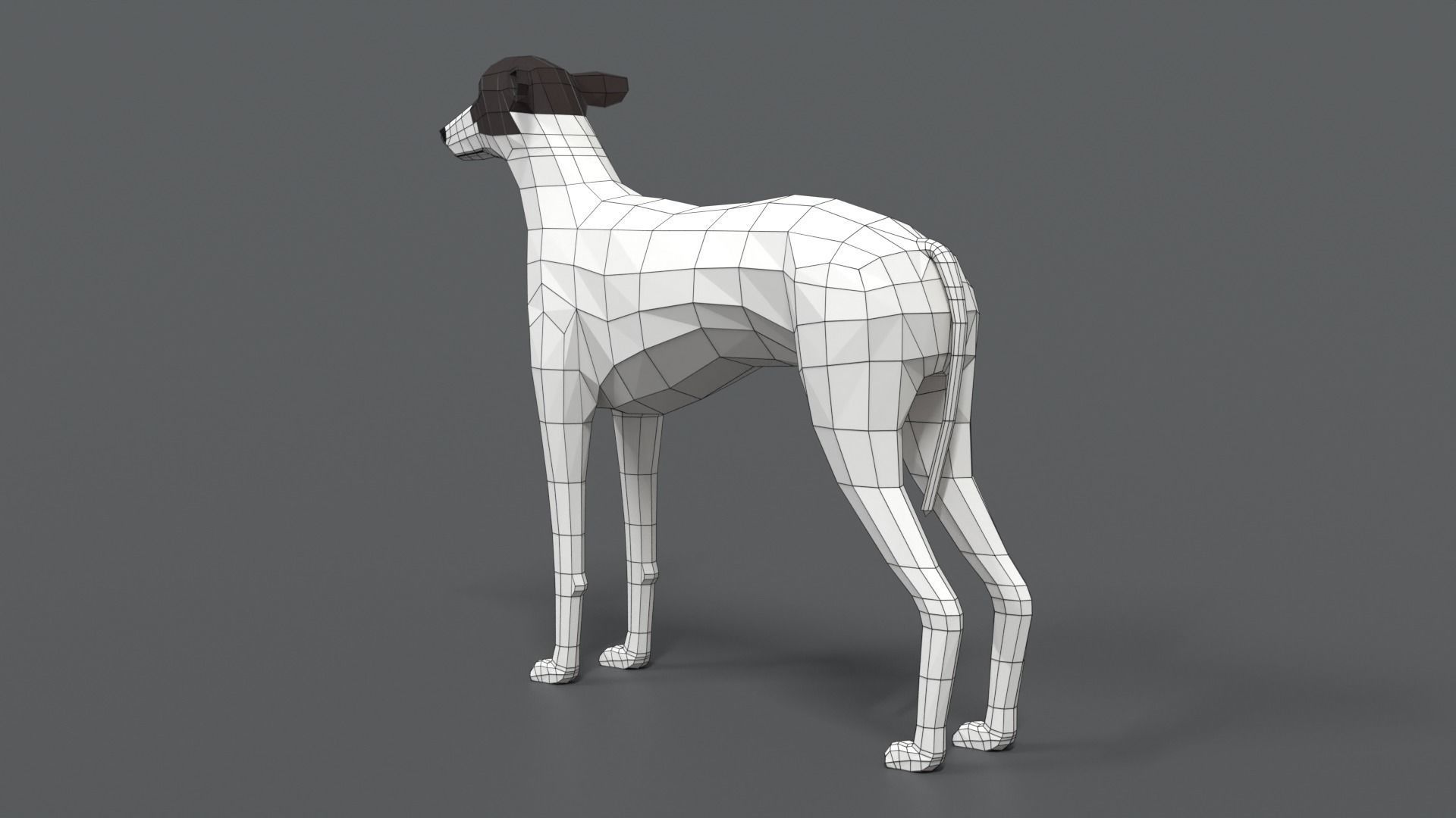 Low Poly Cartoon Greyhound Dog Low-poly 3D model_11