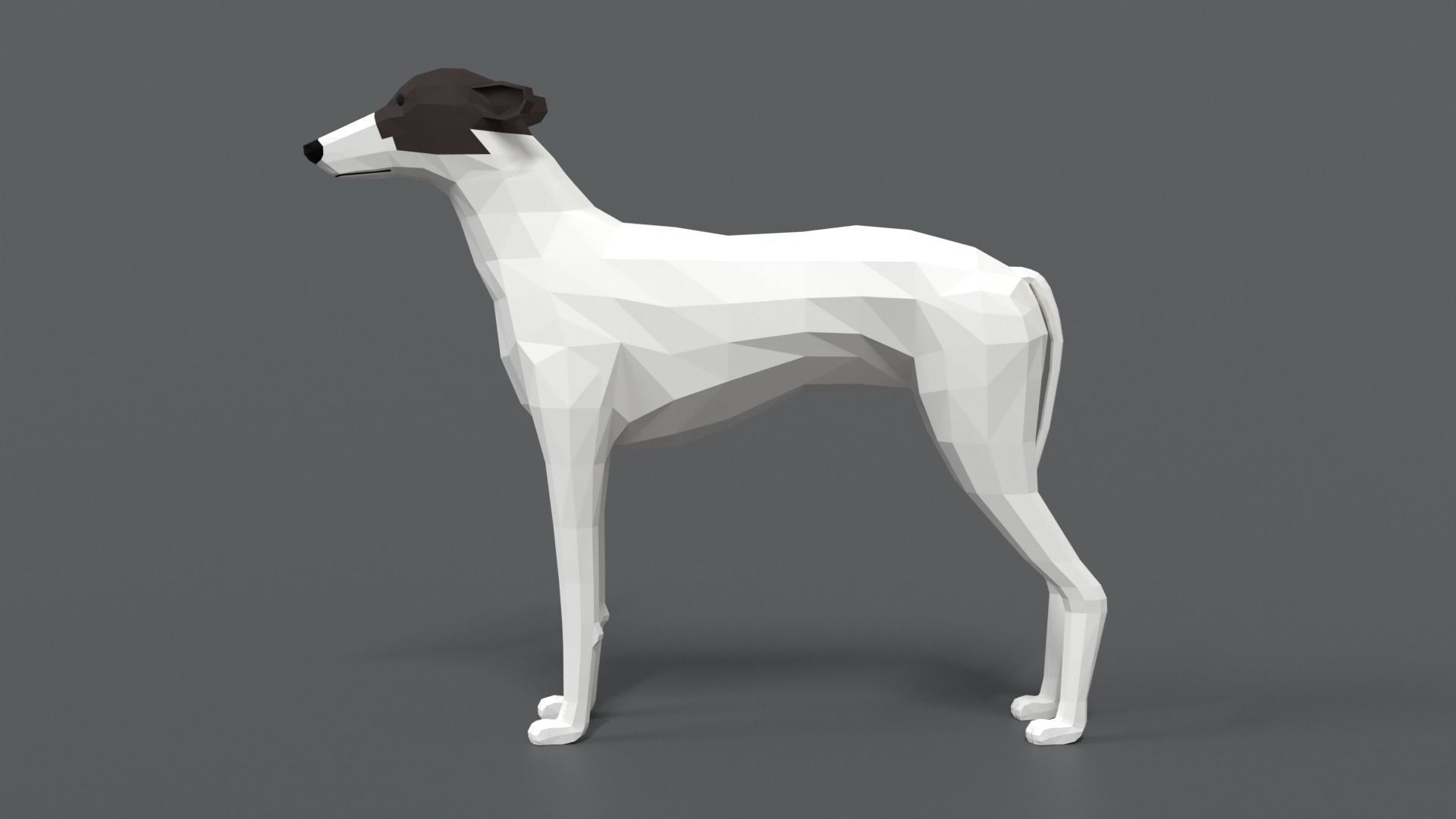 Low Poly Cartoon Greyhound Dog Low-poly 3D model_1