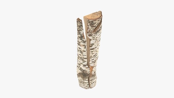 Log Birch Cracked Low-poly 3D model