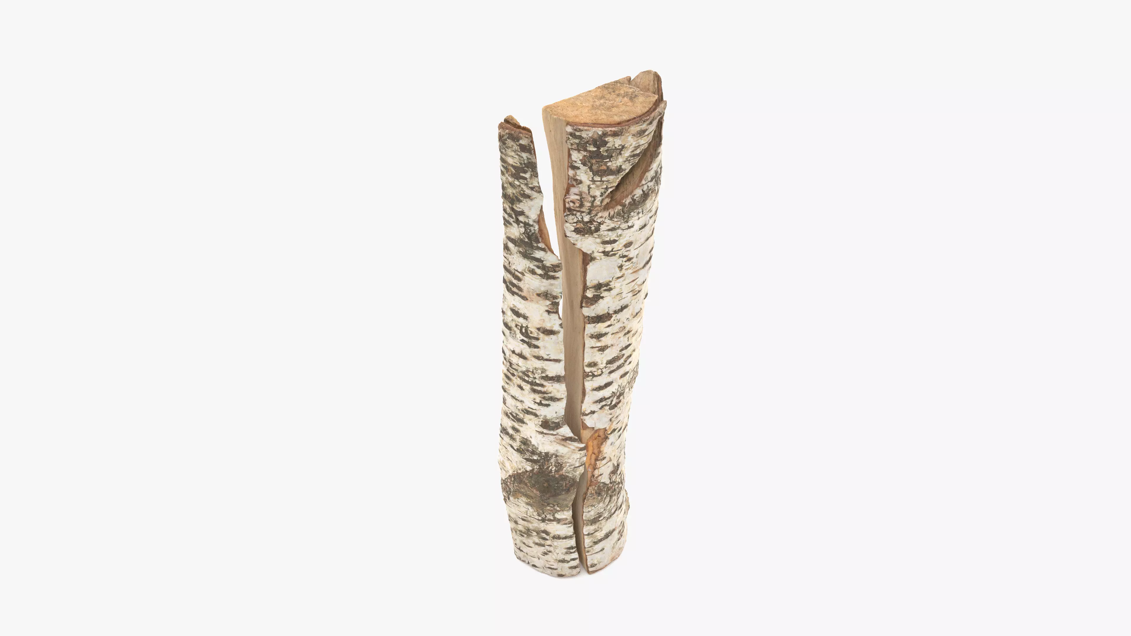 Log Birch Cracked Low-poly 3D model