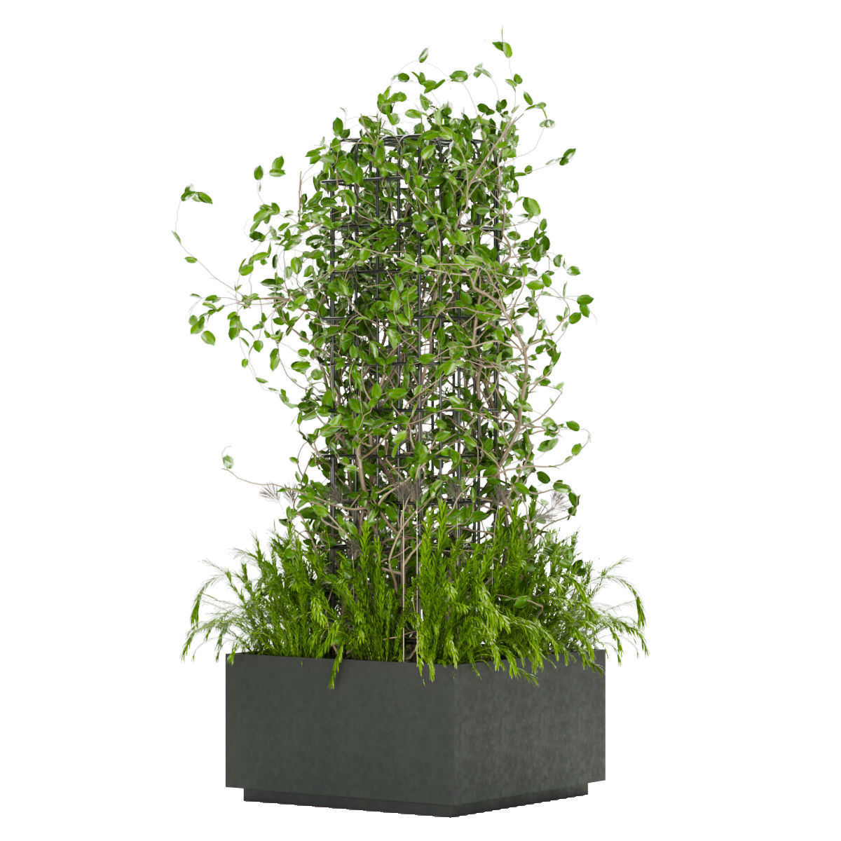 Collection plant vol 17 3D model_2