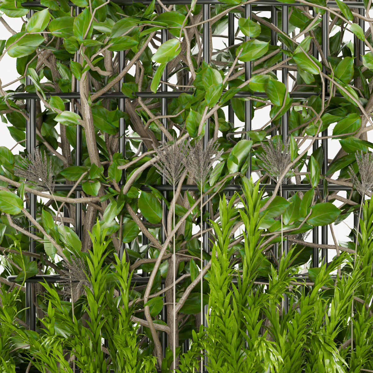 Collection plant vol 17 3D model_1