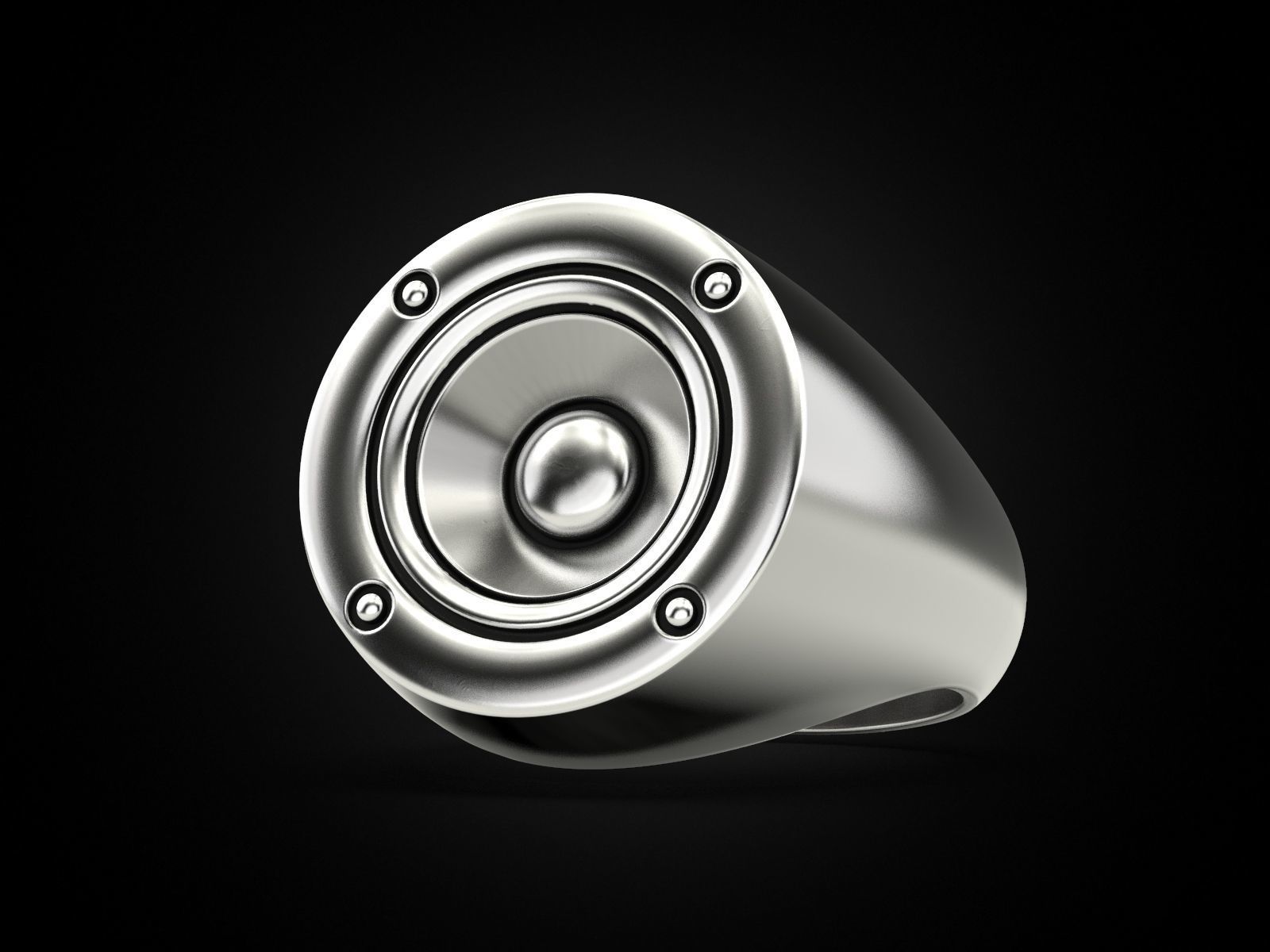 Ring speaker 3D print model_1