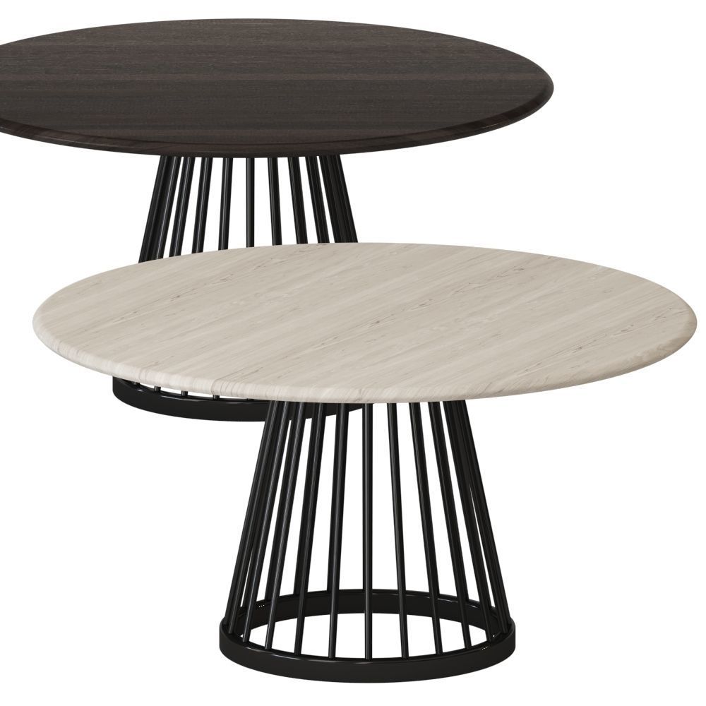 Fan by Tom Dixon 3D model_1