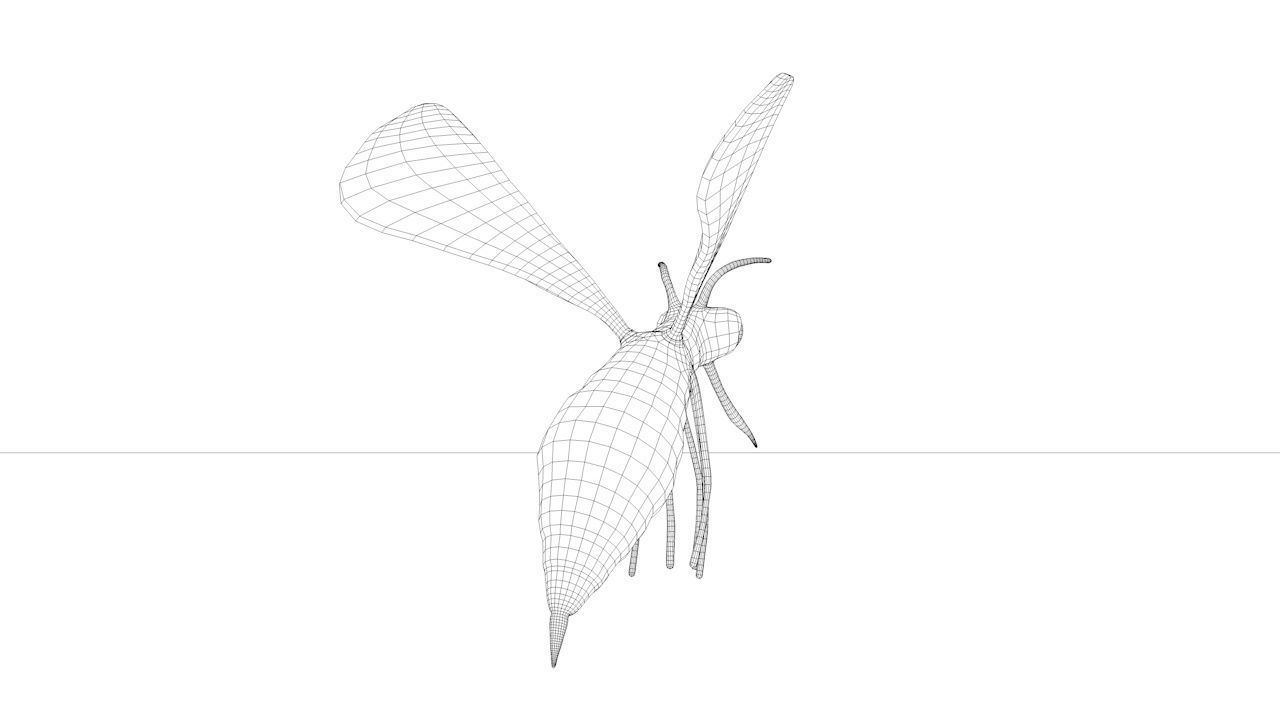 Mosquito insect flying Low-poly 3D model_18