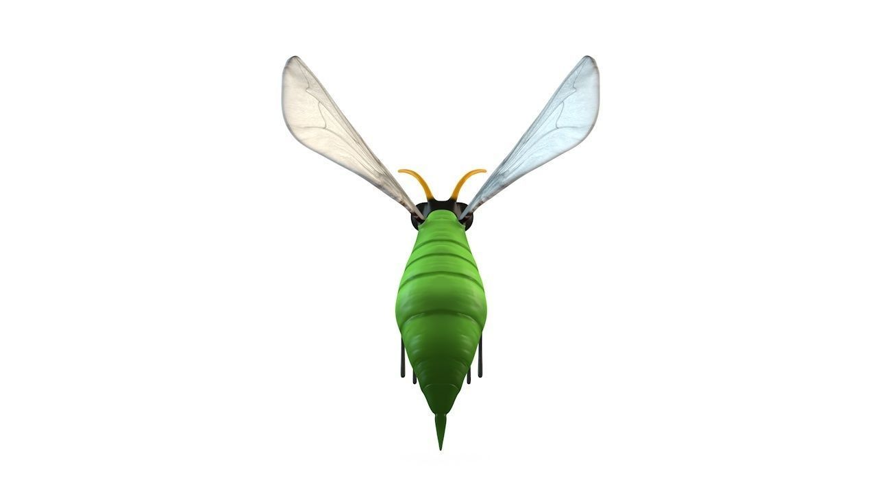 Mosquito insect flying Low-poly 3D model_6