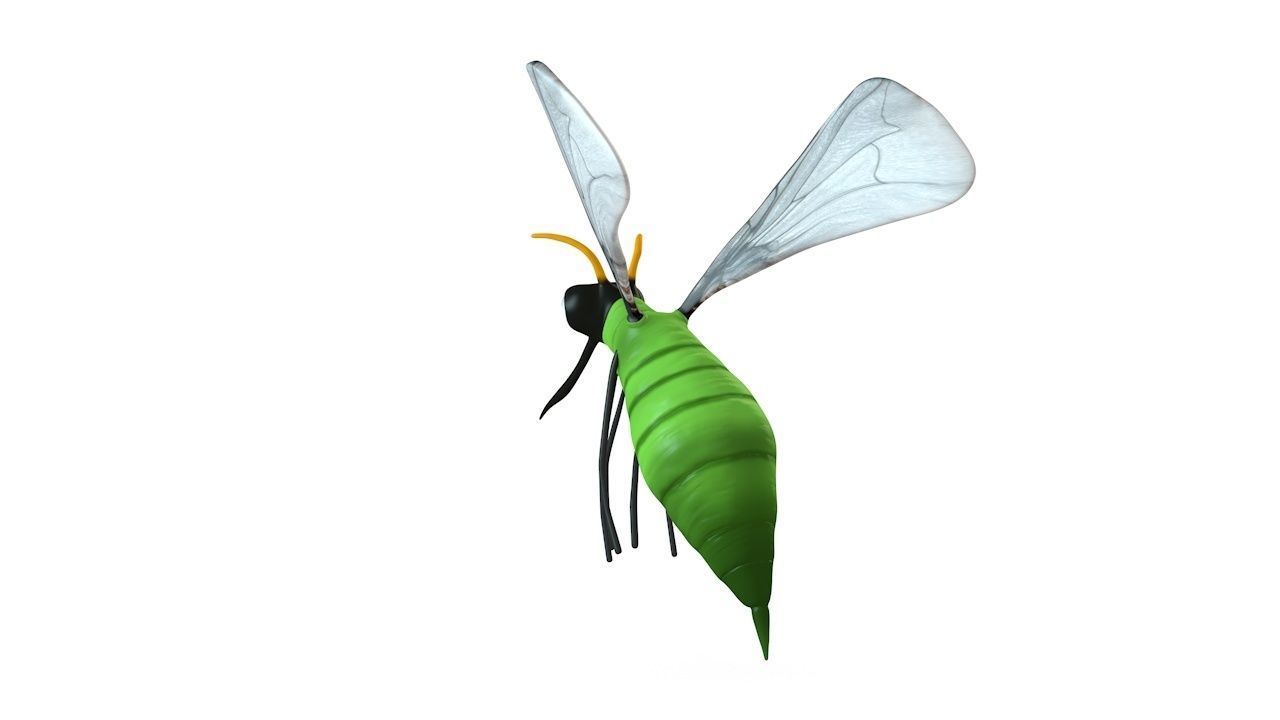 Mosquito insect flying Low-poly 3D model_5