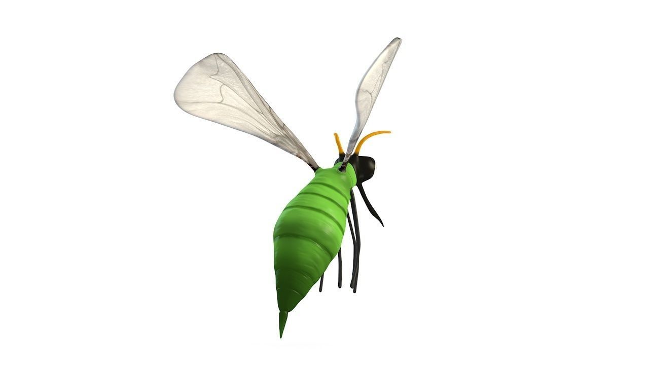 Mosquito insect flying Low-poly 3D model_7