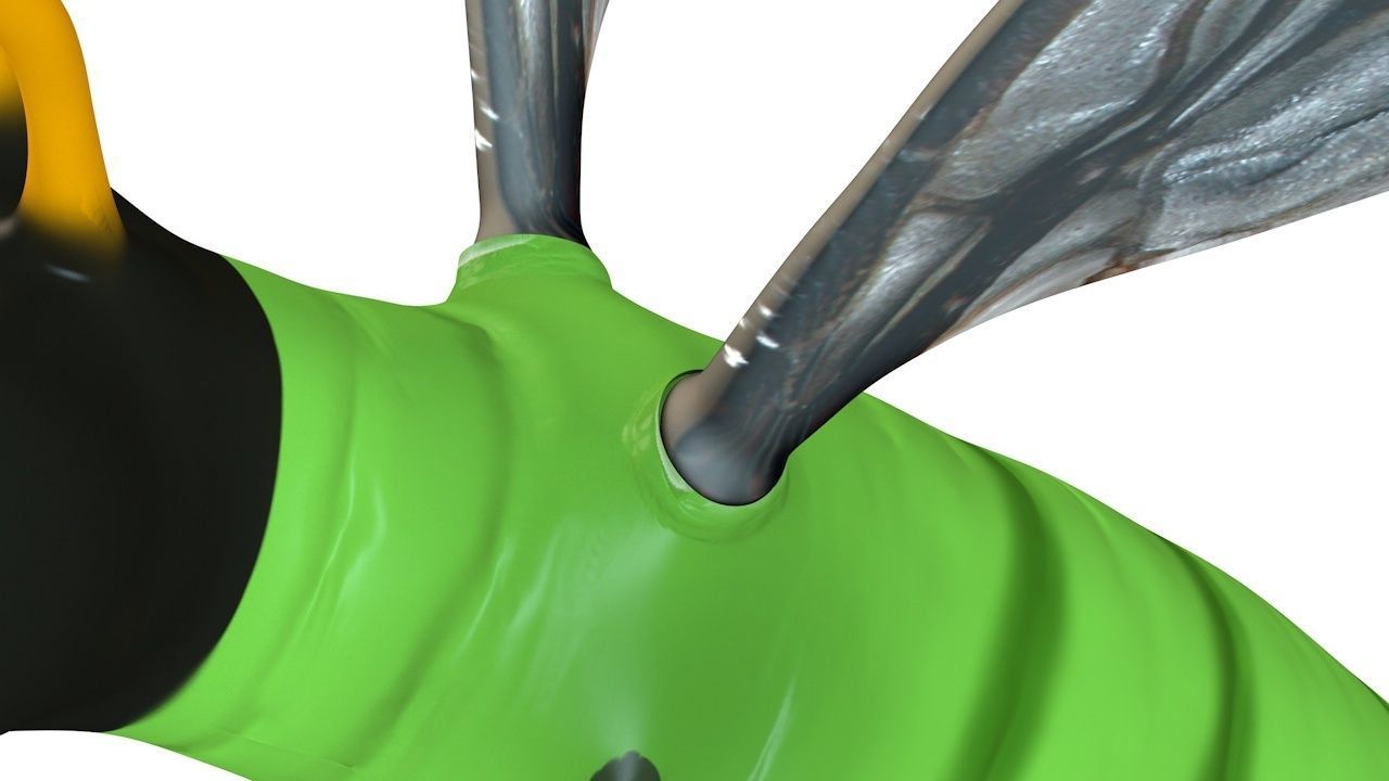 Mosquito insect flying Low-poly 3D model_11