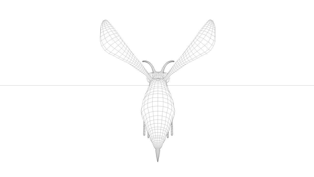 Mosquito insect flying Low-poly 3D model_17