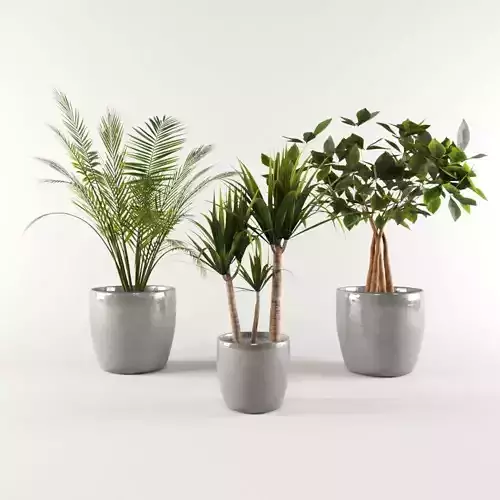 Vase Pack 1 Low-poly 3D model