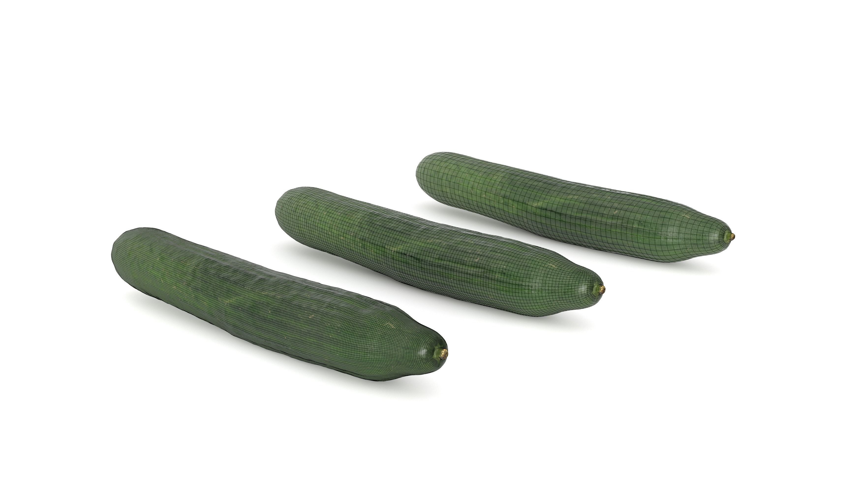 Cucumber Photoscan Low-poly 3D model_6