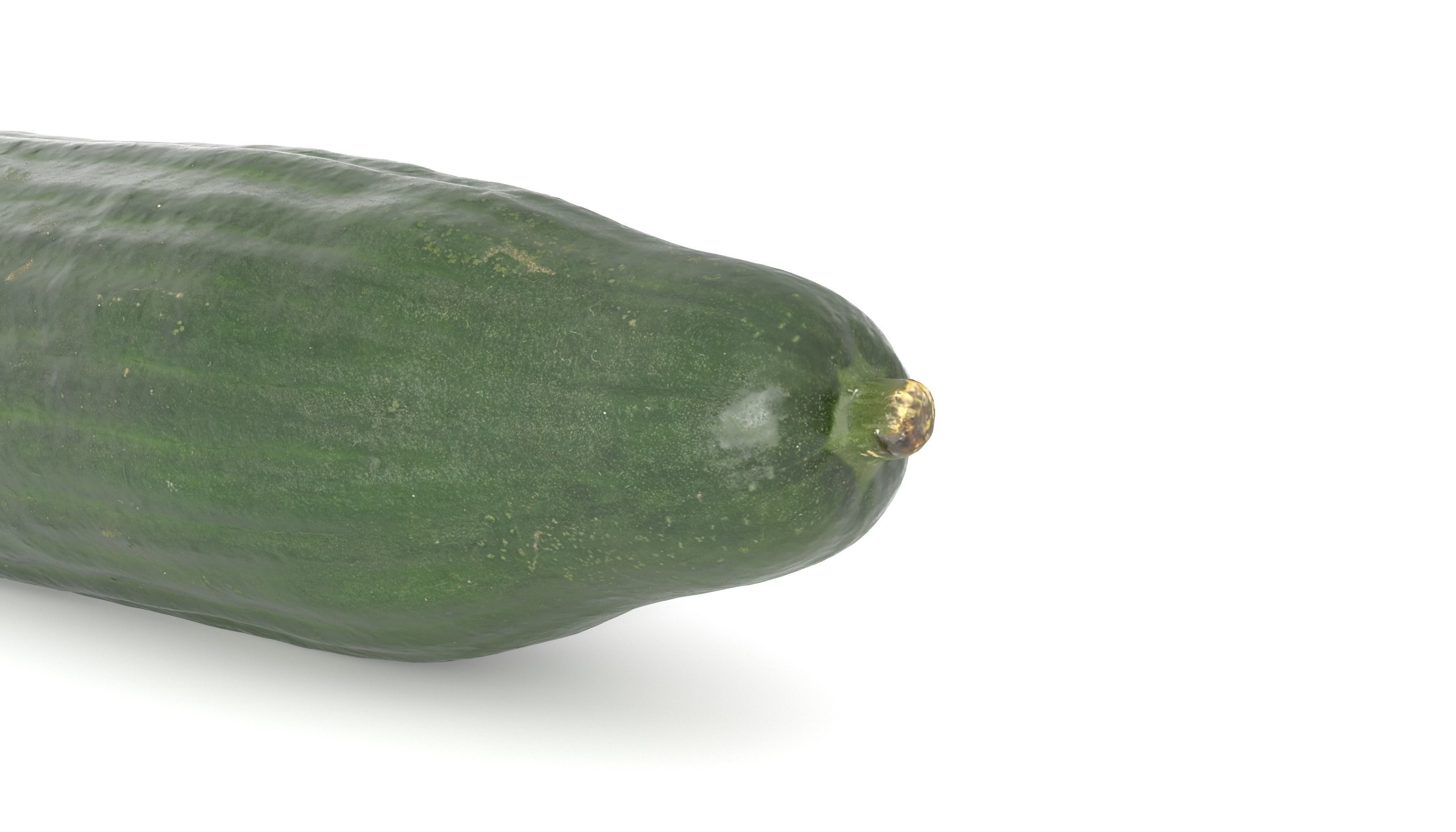 Cucumber Photoscan Low-poly 3D model_7
