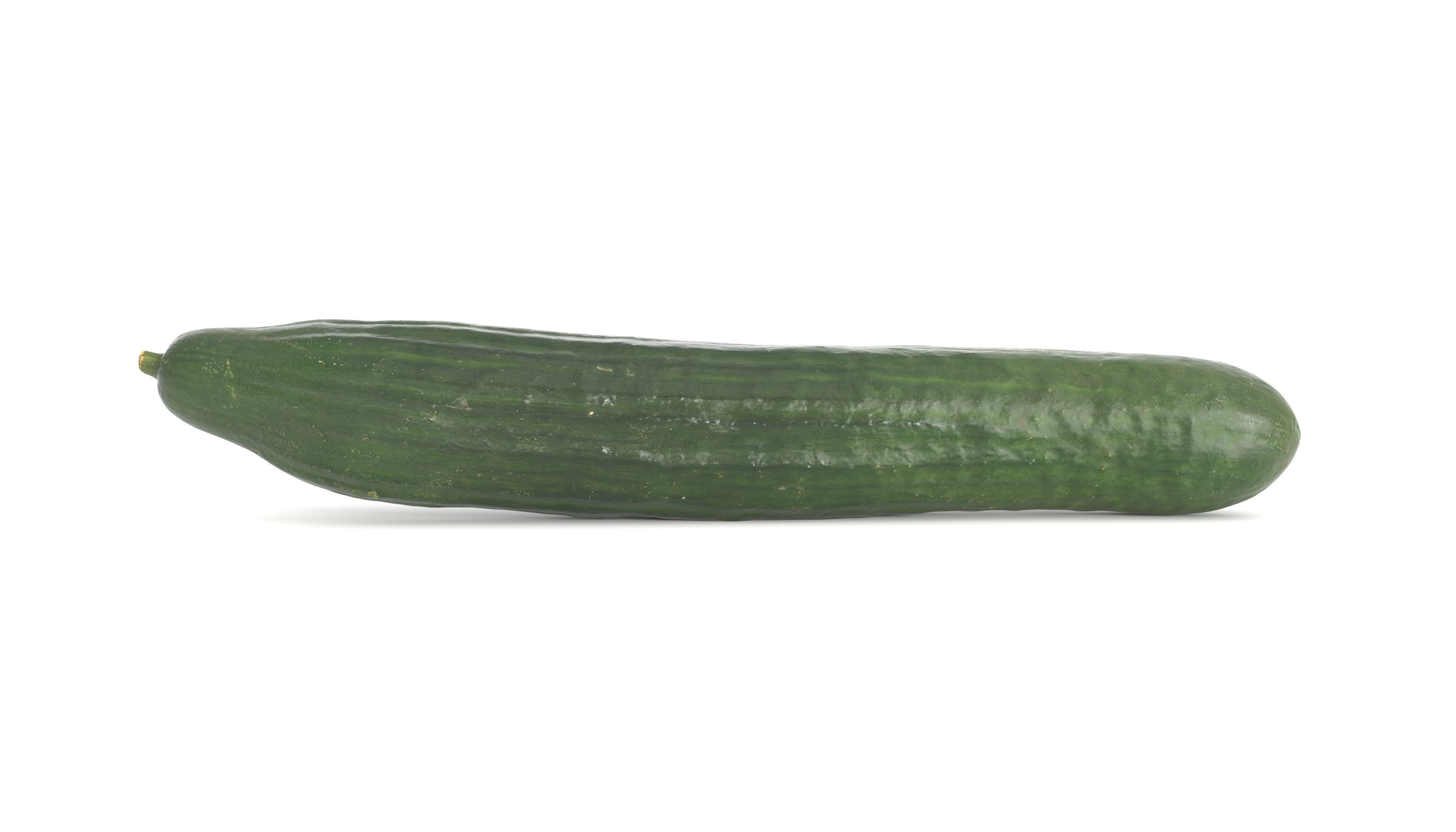 Cucumber Photoscan Low-poly 3D model_2