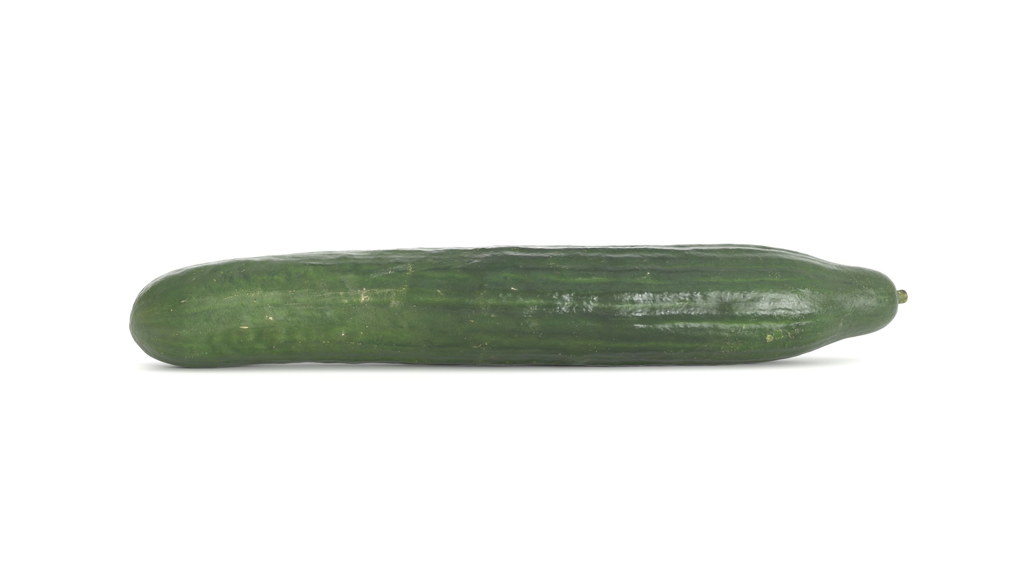 Cucumber Photoscan Low-poly 3D model_1