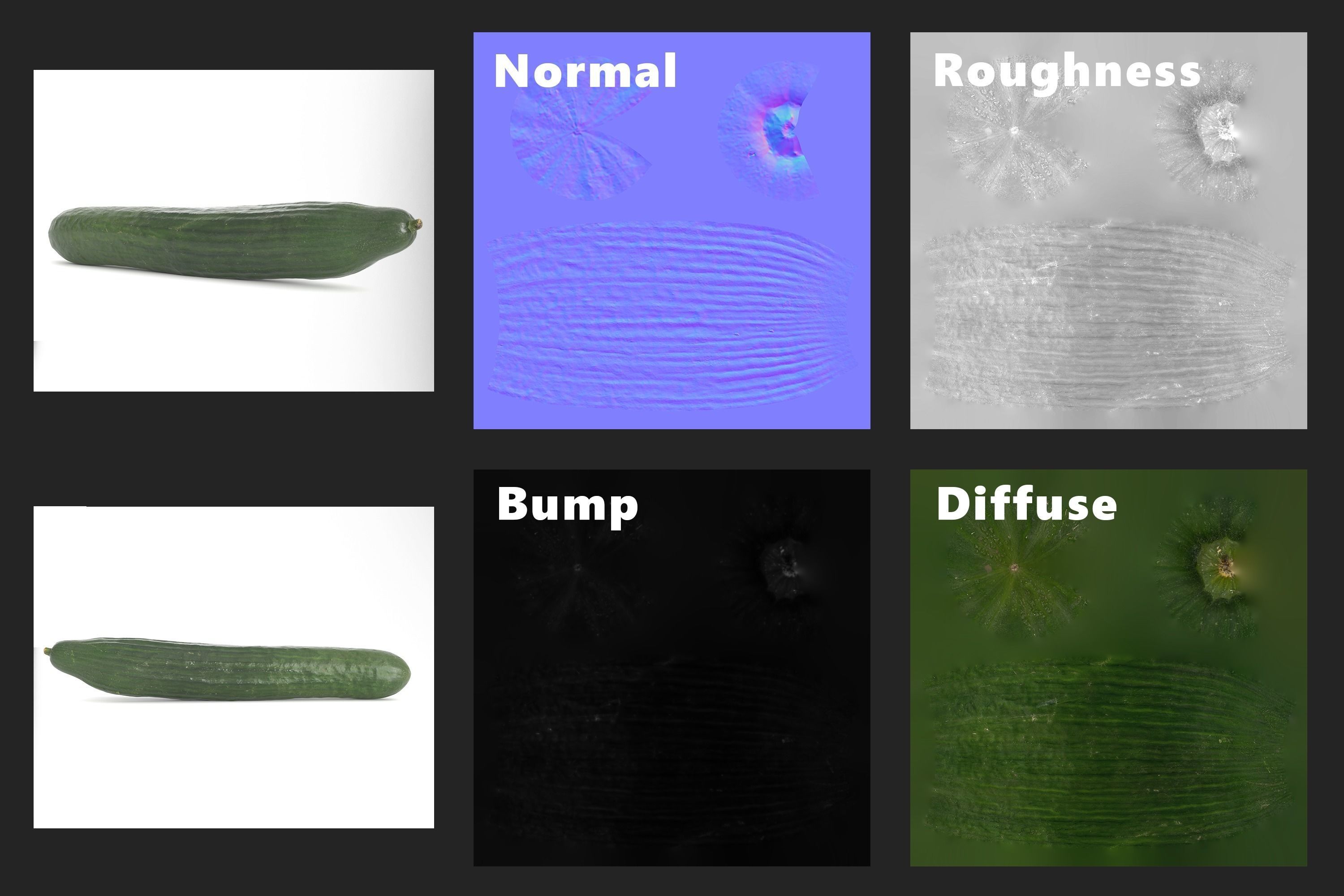 Cucumber Photoscan Low-poly 3D model_8