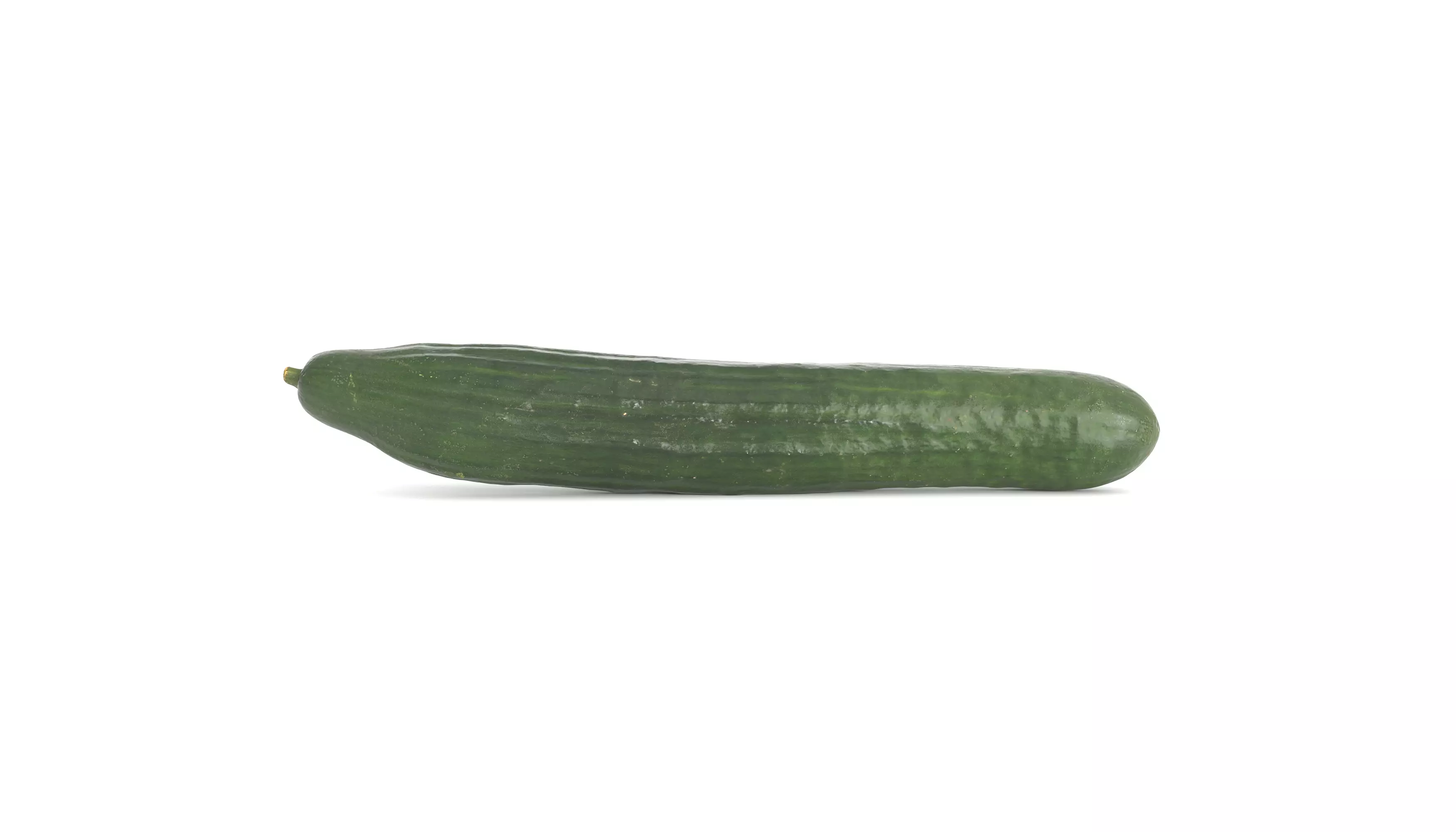 Cucumber Photoscan Low-poly 3D model_0