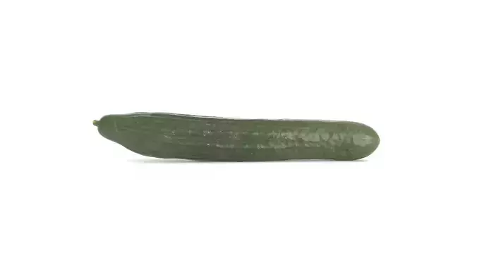 Cucumber Photoscan Low-poly 3D model