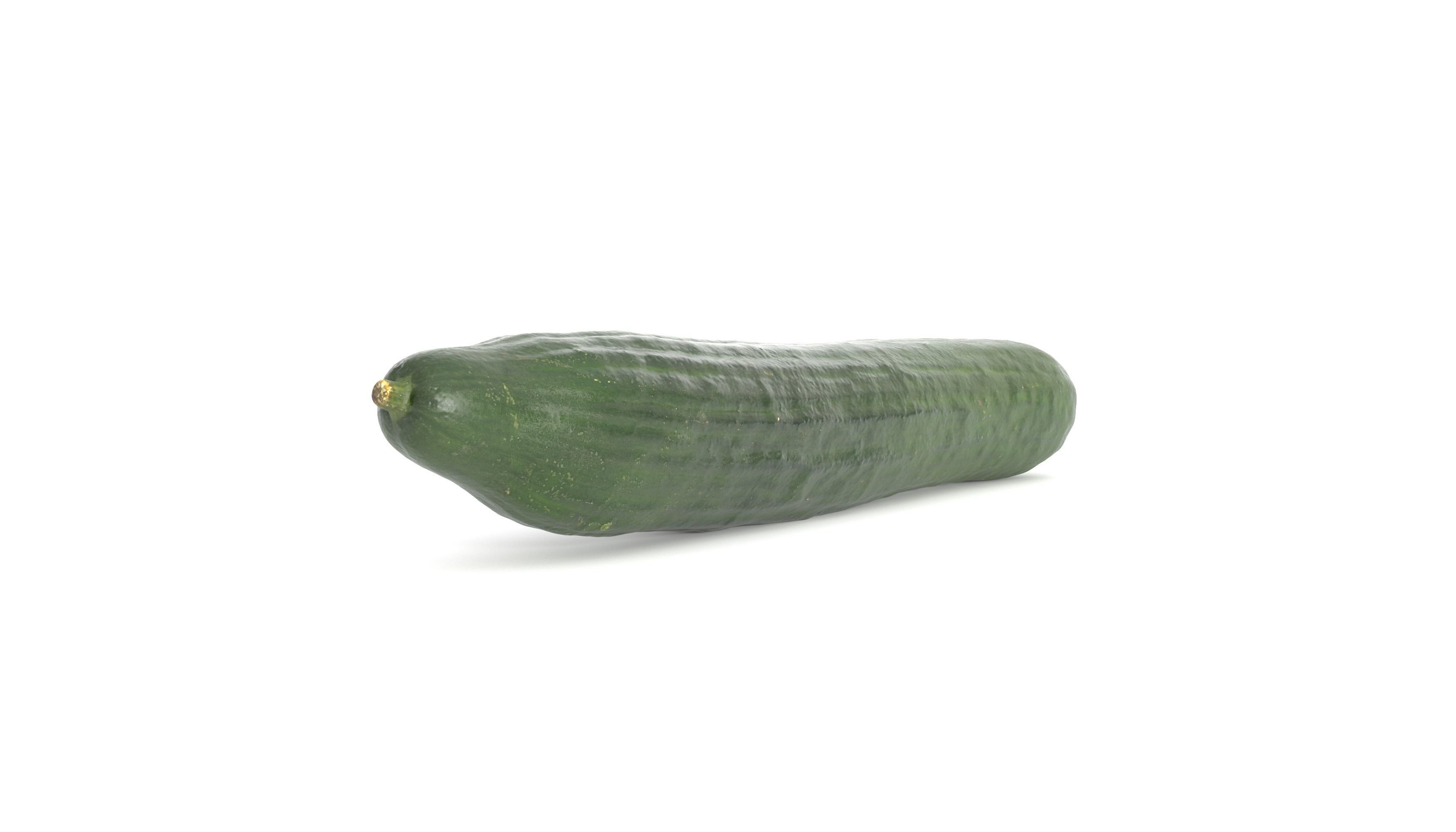 Cucumber Photoscan Low-poly 3D model_3