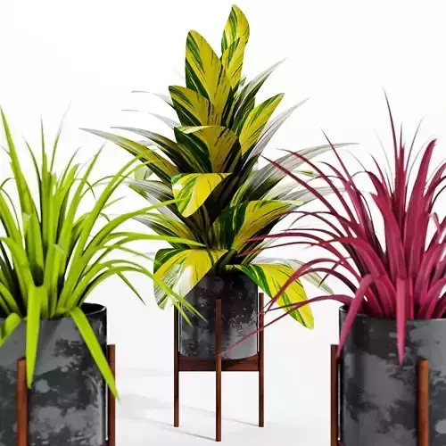 Green flower 3D model