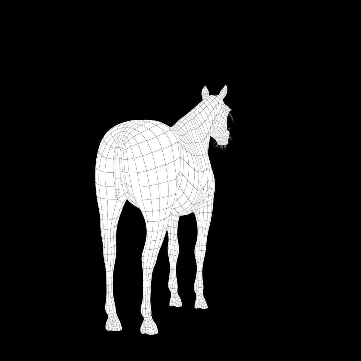 Horse collection with Fur 3D model_32