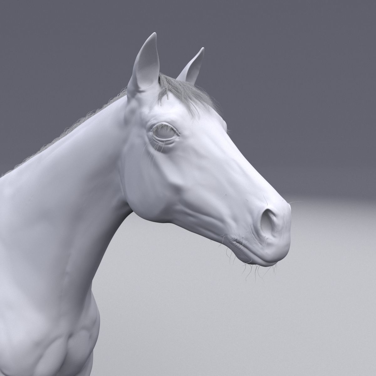 Horse collection with Fur 3D model_26