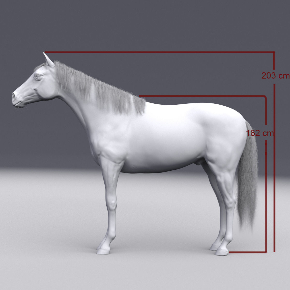Horse collection with Fur 3D model_34