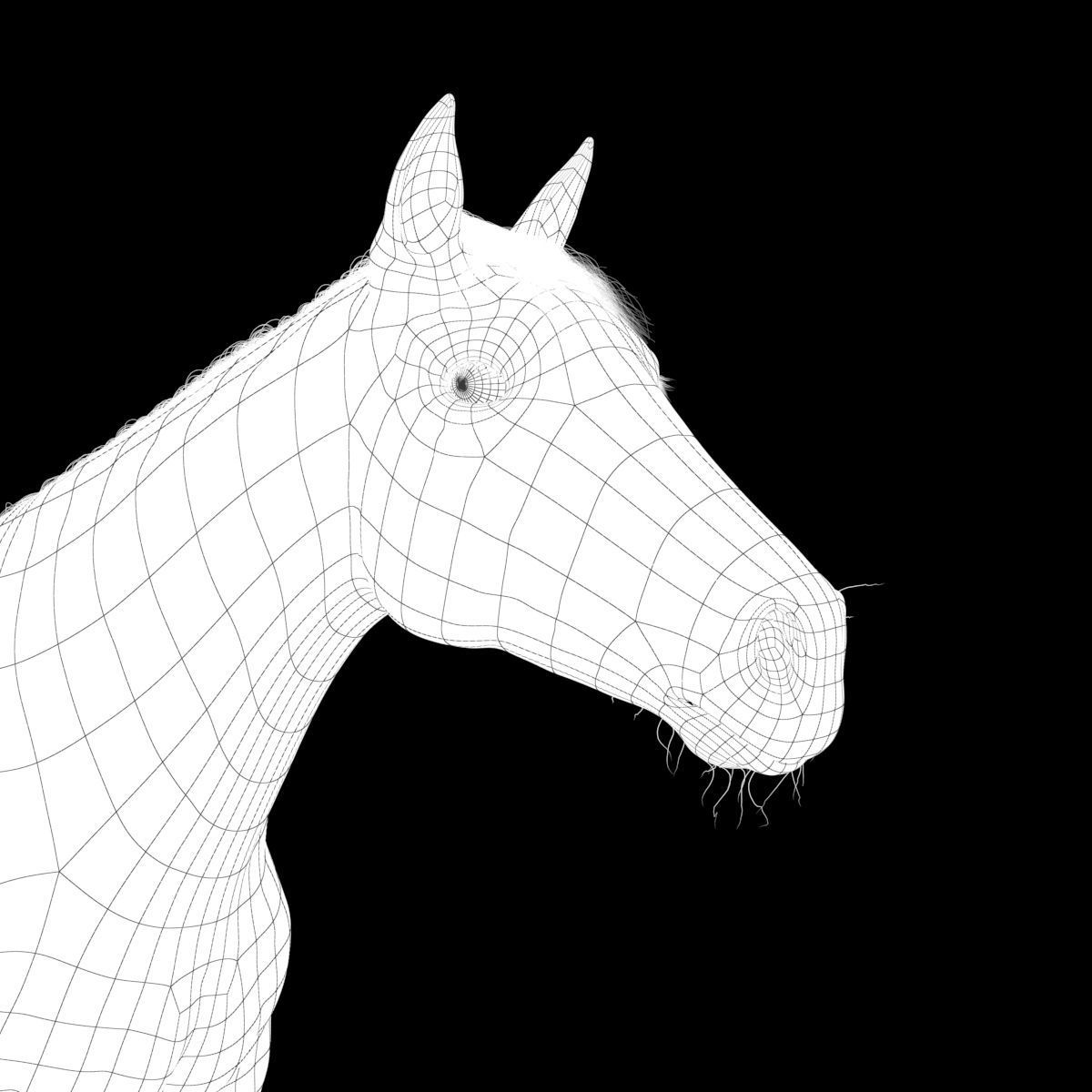 Horse collection with Fur 3D model_28