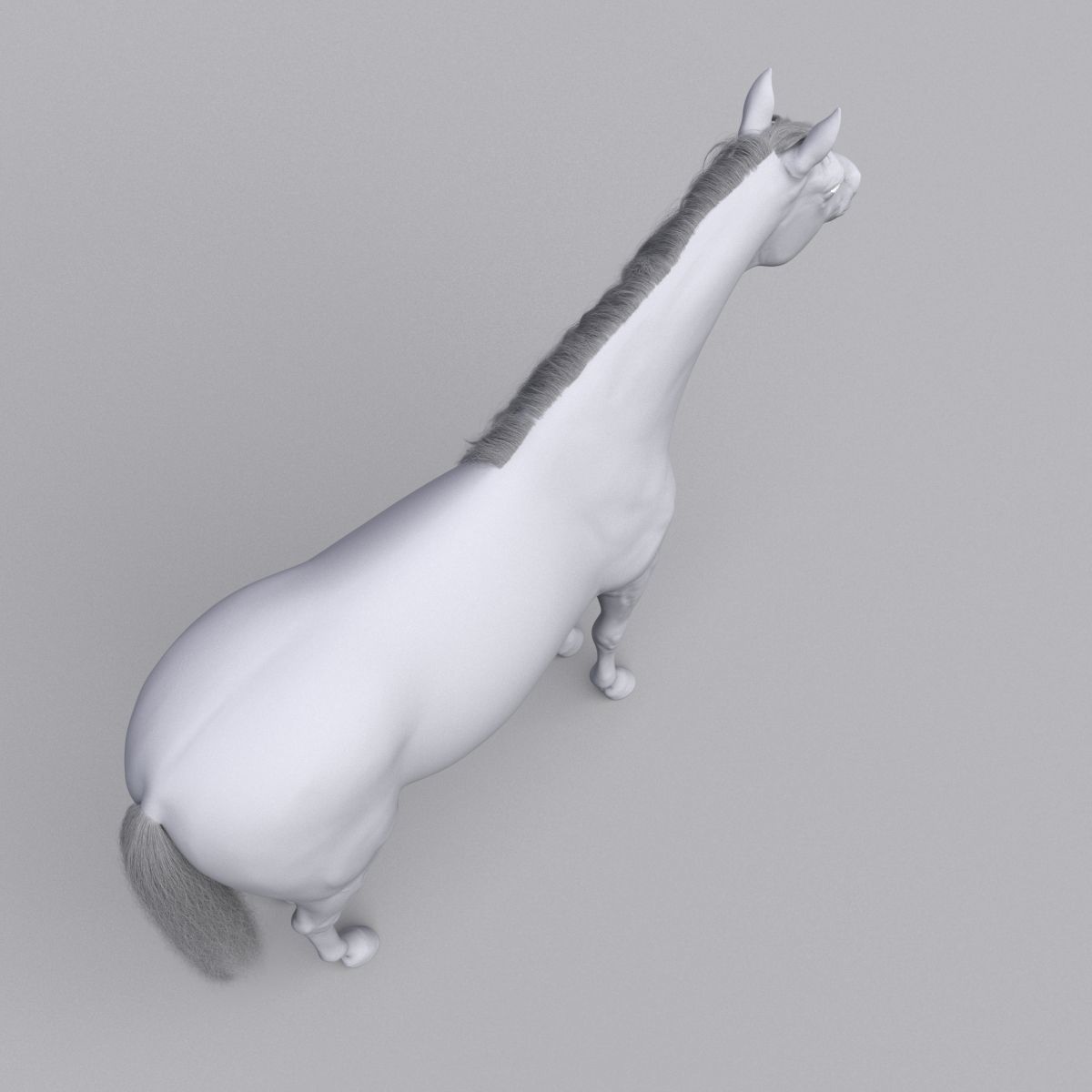 Horse collection with Fur 3D model_25