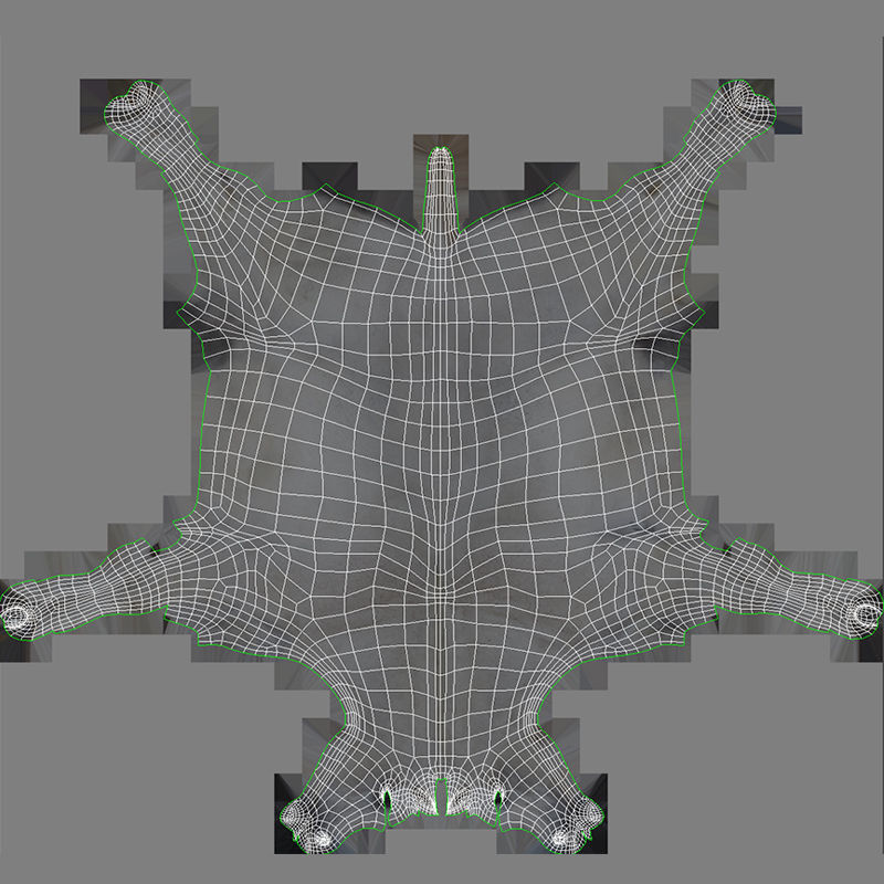 Horse collection with Fur 3D model_33