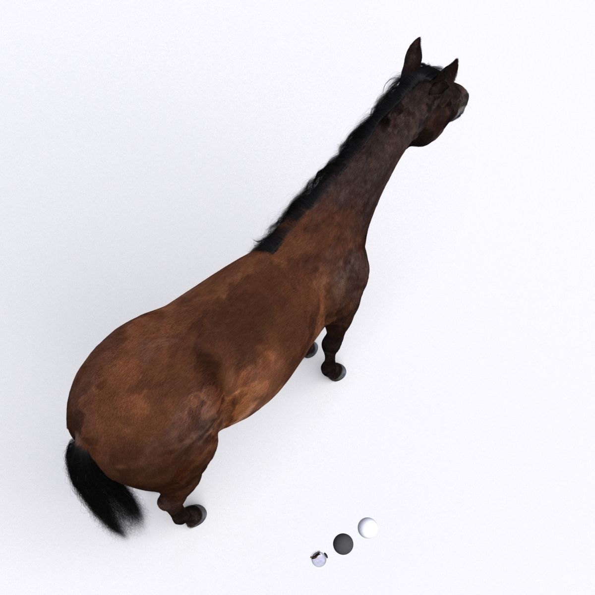 Horse collection with Fur 3D model_24
