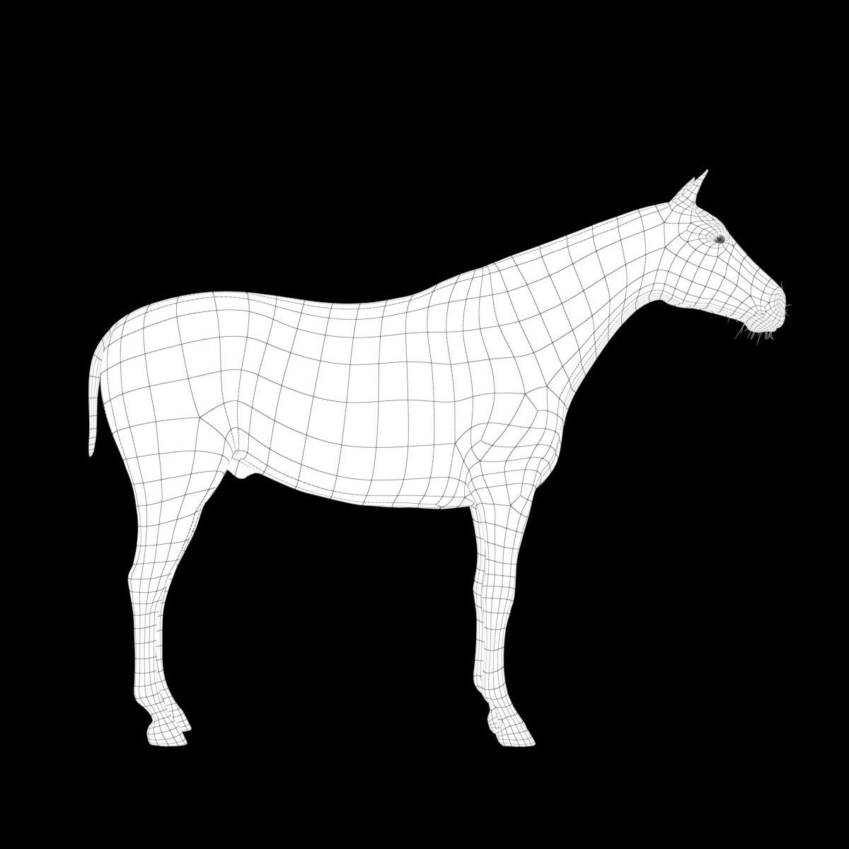 Horse collection with Fur 3D model_30