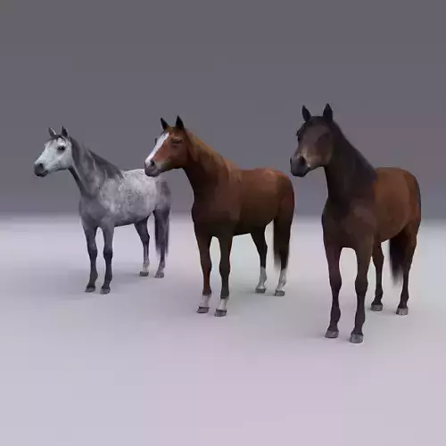 Horse collection with Fur