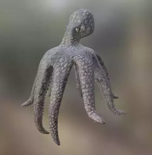 Kraken octopus in water