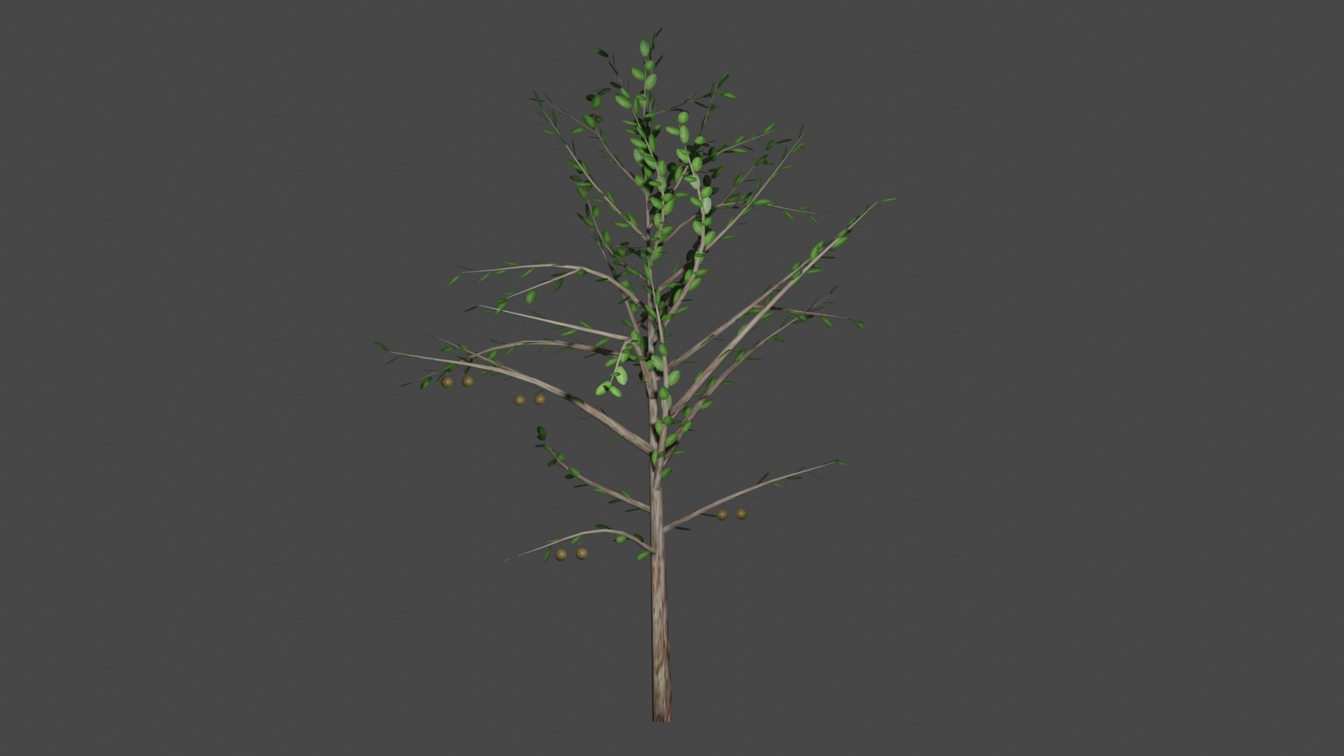 Pohon Jambu Low-poly 3D model_5