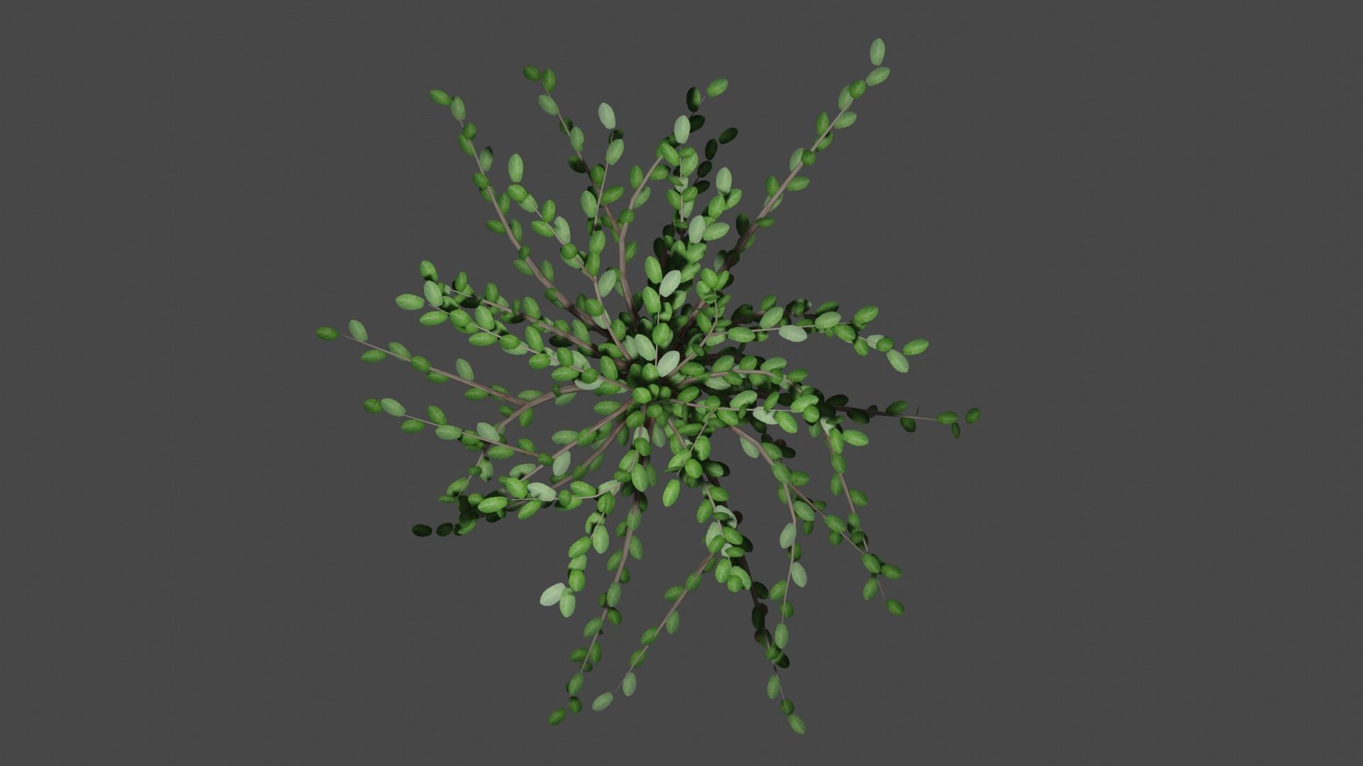 Pohon Jambu Low-poly 3D model_7