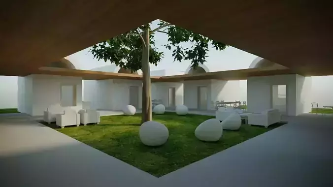 Traditional modern patio house