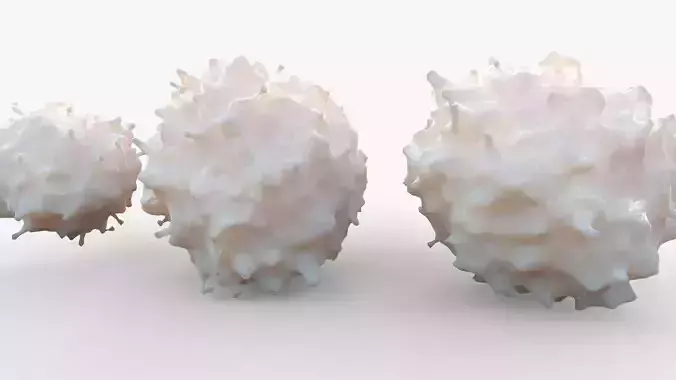 Lymphocytes cell 3D model