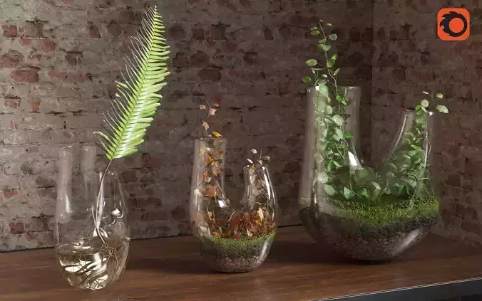 Plant Terrarium SET3