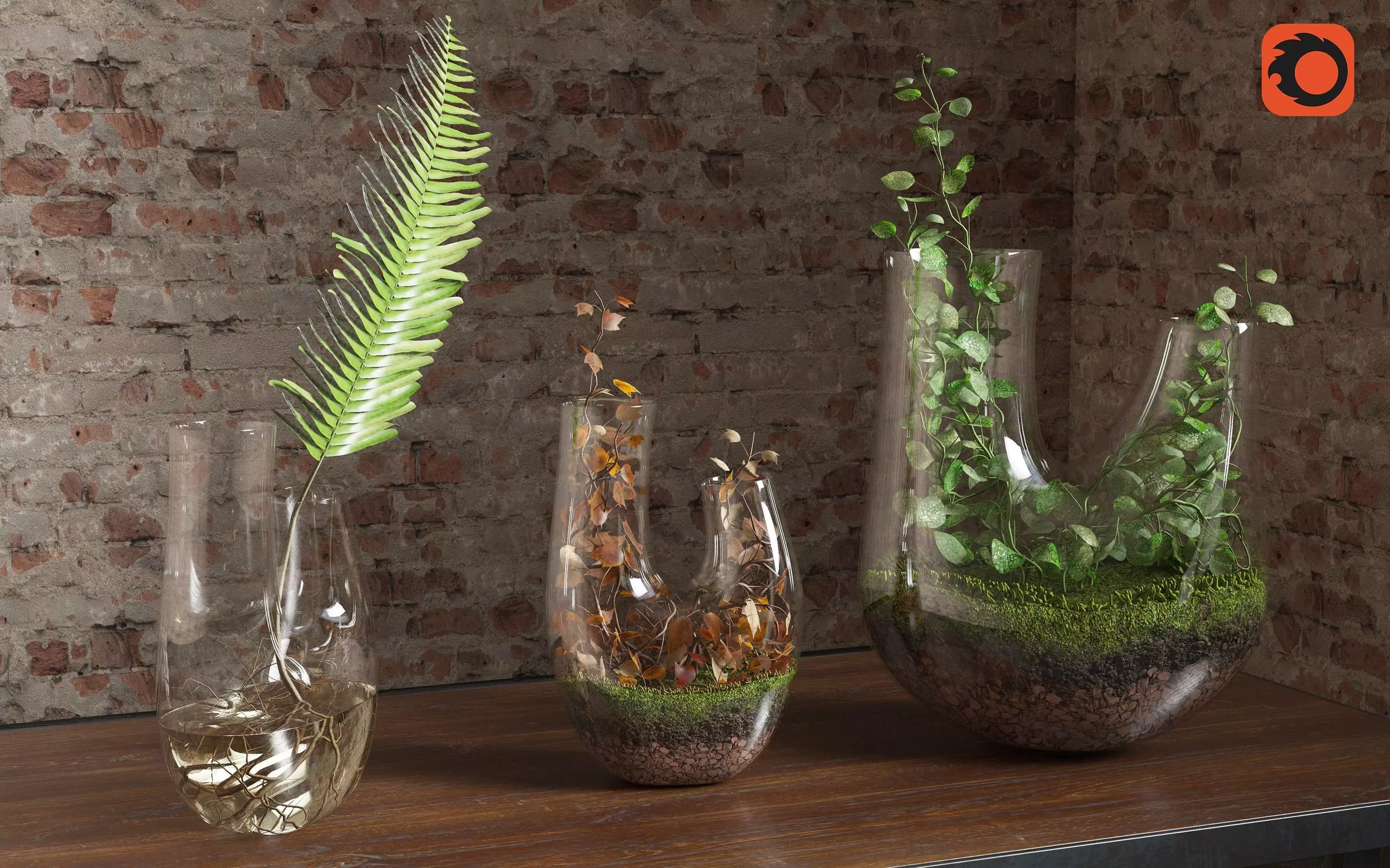 Plant Terrarium SET3 3D model