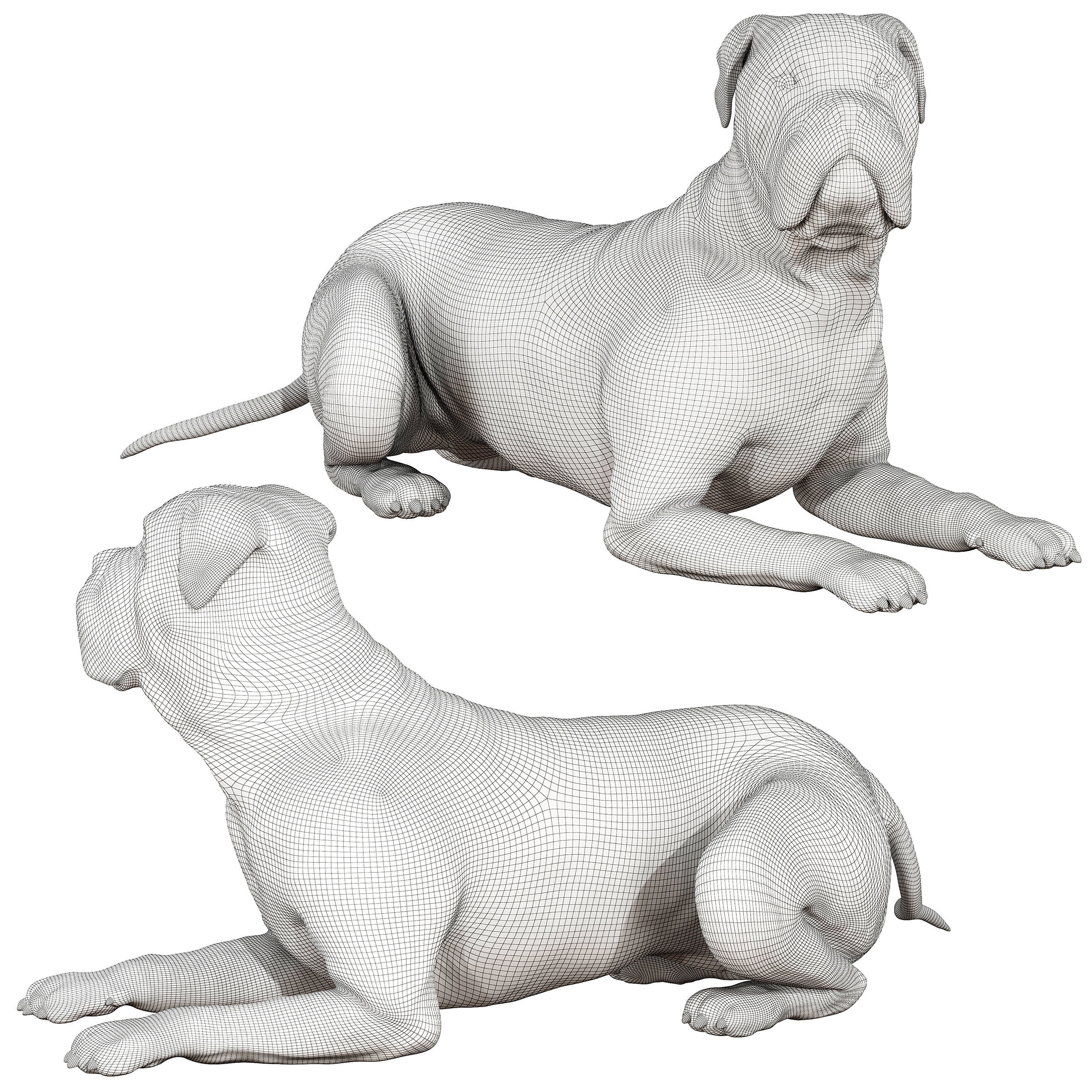 Bullmastiff dog 3D model_5