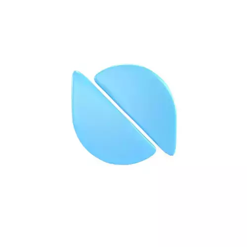 Ontology Coin v2 002